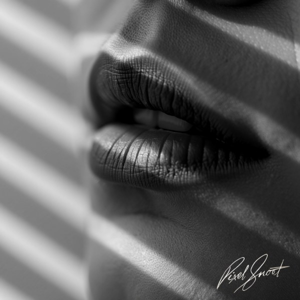 FIRST SNOW,NO NAME