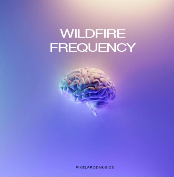 WILDFIRE FREQUENCY