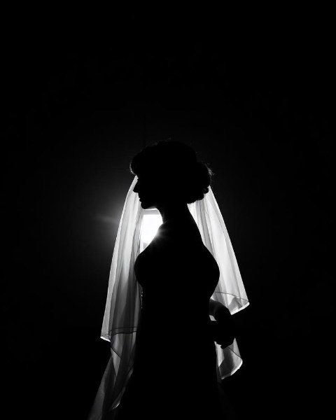 Too Alive for Small Rooms II