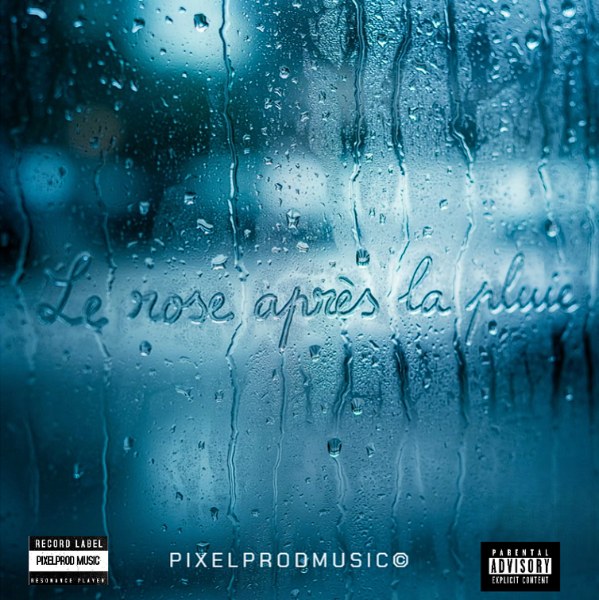 Le rose après la pluie